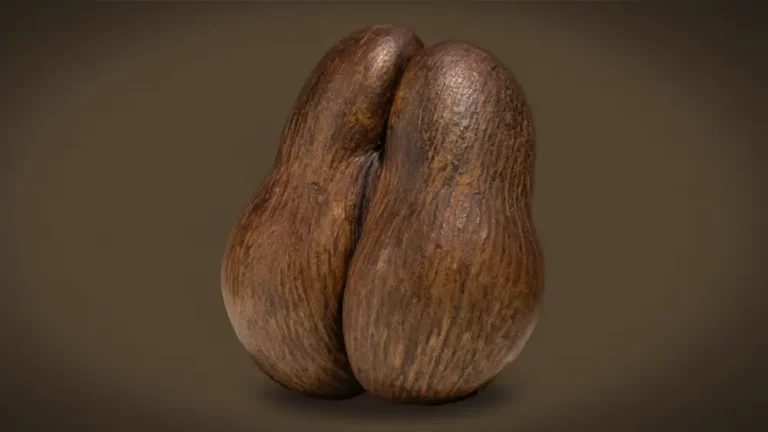 jian guo waltz chapter 3 shapes 04