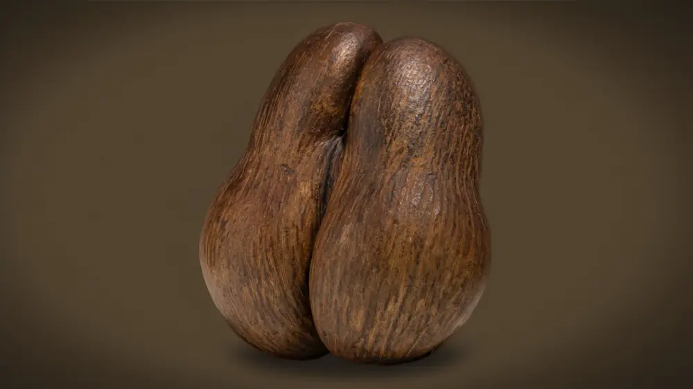 jian guo waltz chapter 3 shapes 04