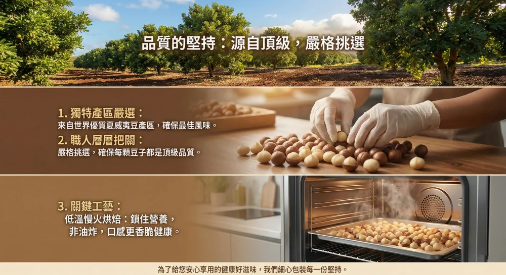 macadamia nuts nutrition benefits omega3 healthy fats infographic 04 yellowdaddy