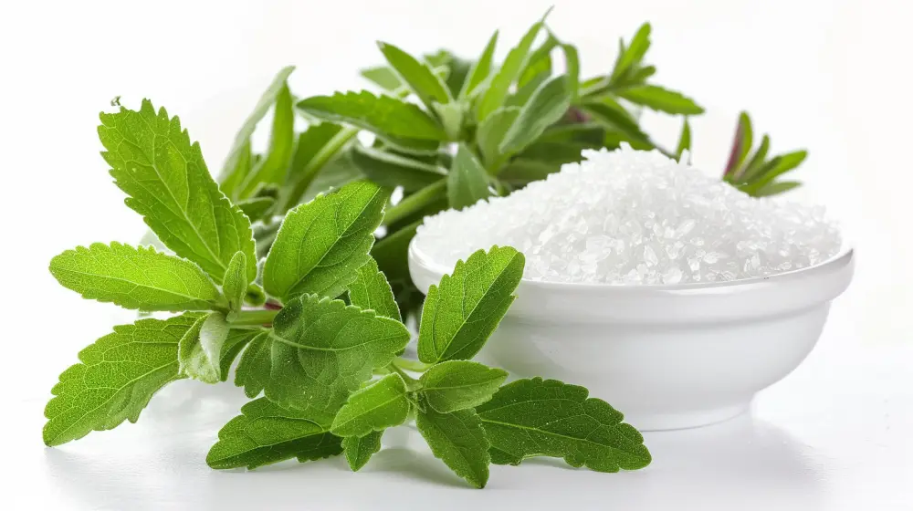 exploring stevia health sweetener 04
