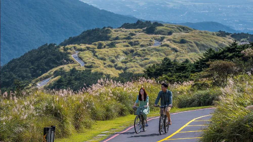 green valentines day august 14 02 yellowdaddy