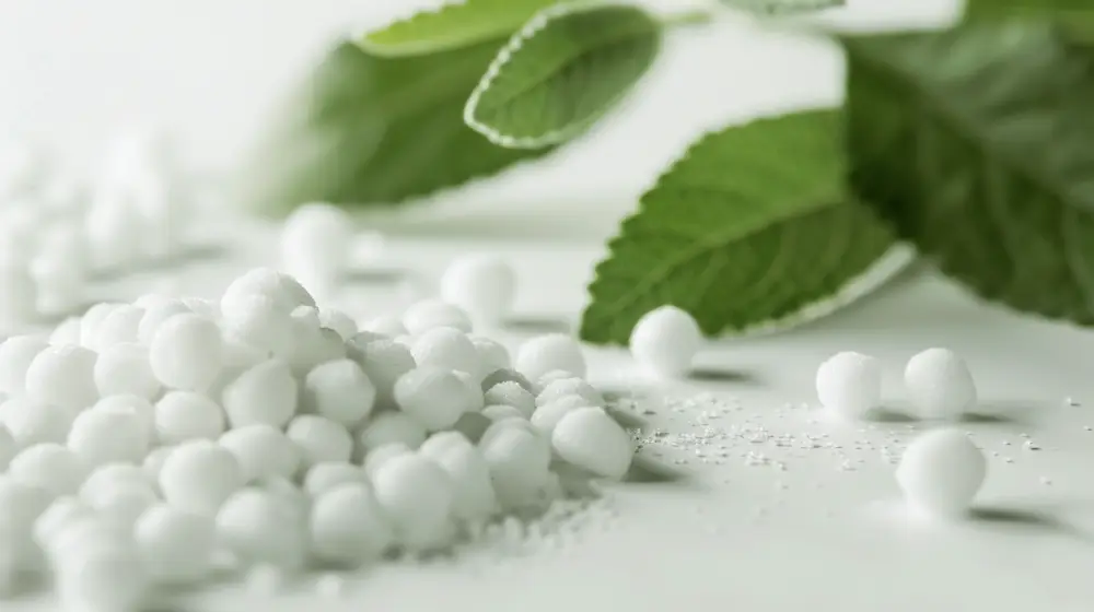 sugar substitute effects 01