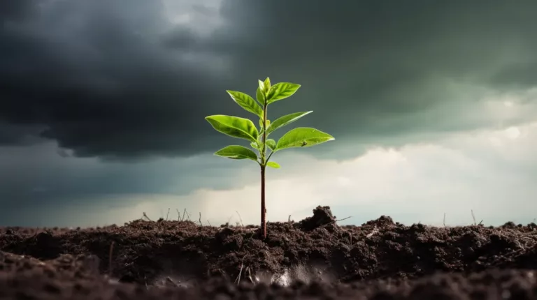 employee turnover challenges mentorship 6