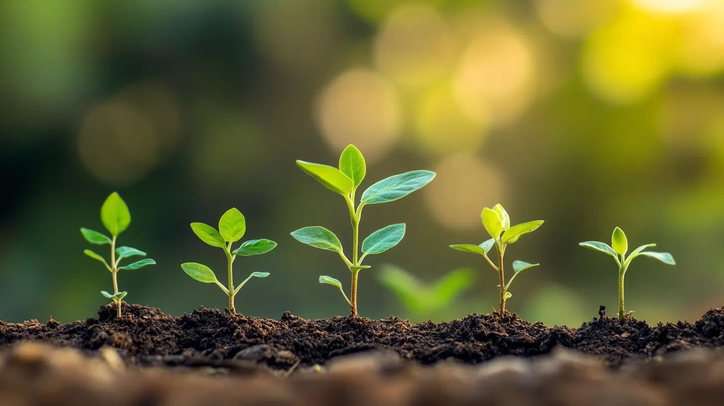 win respect 6 months transformation 06