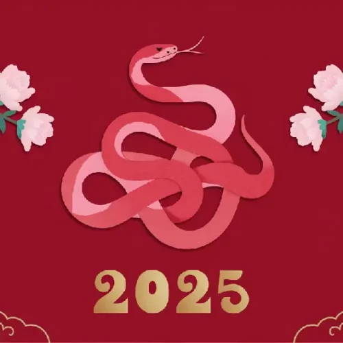 2025-chinese-zodiac-snake-year-culture-tradition-innovation-guide-07yellowdaddy 2025-chinese-zodiac-snake-year-culture-tradition-innovation-guide-07yellowdaddy