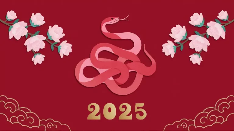 2025 chinese zodiac snake year culture tradition innovation guide 07yellowdaddy