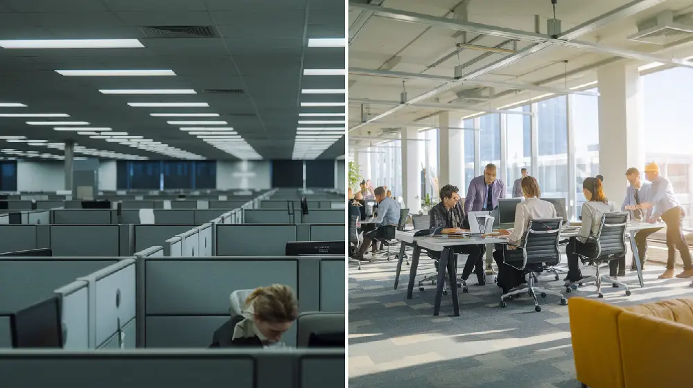 employee belonging management leadership team building workplace culture 02yellowdaddy