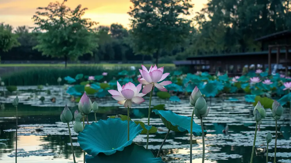 hidden wisdom life balance insight art mindfulness 05yellowdaddy