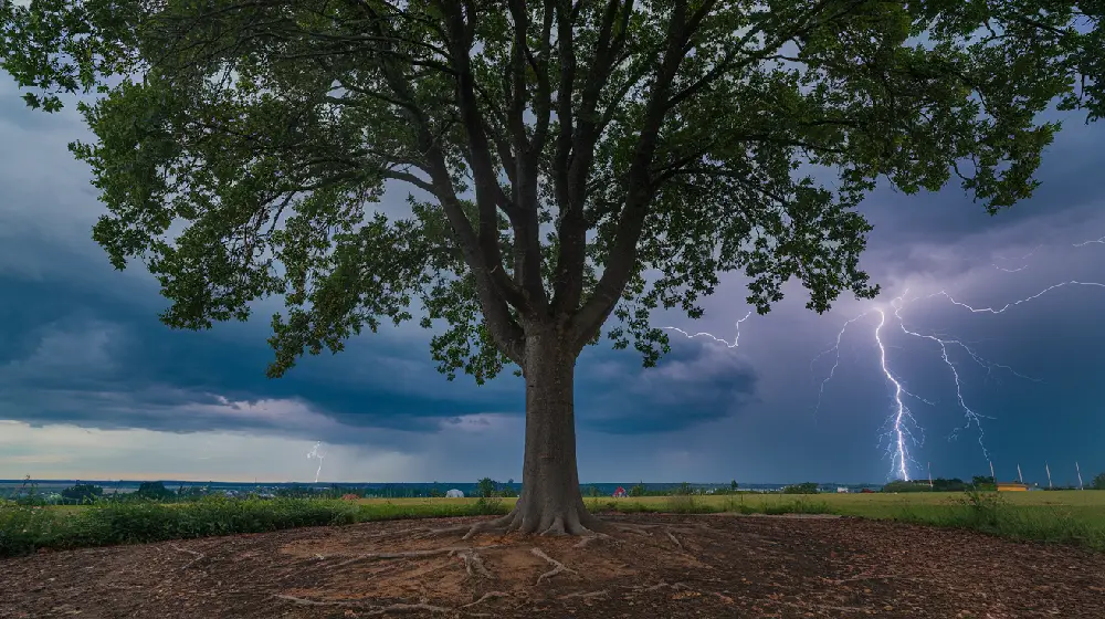 quiet journey to success mindful living personal growth 2024 04yellowdaddy