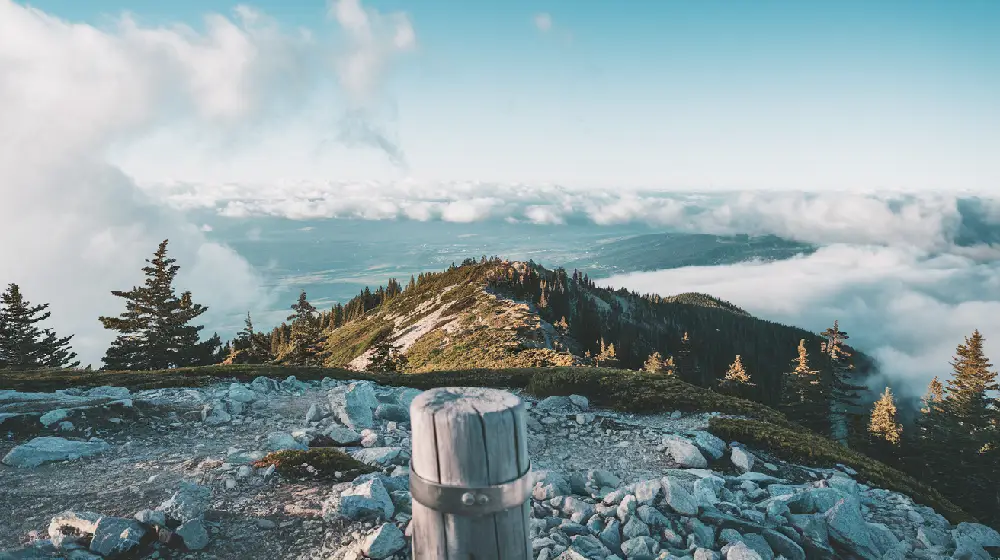 quiet journey to success mindful living personal growth 2024 06yellowdaddy