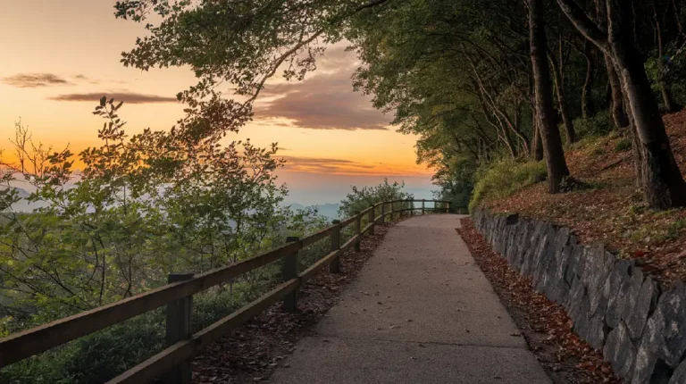 quiet journey to success mindful living personal growth 2024 07yellowdaddy