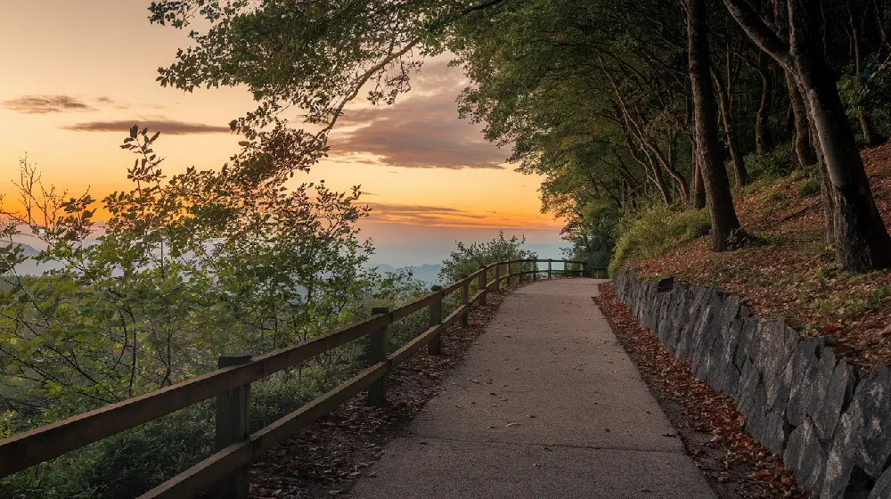 quiet journey to success mindful living personal growth 2024 07yellowdaddy