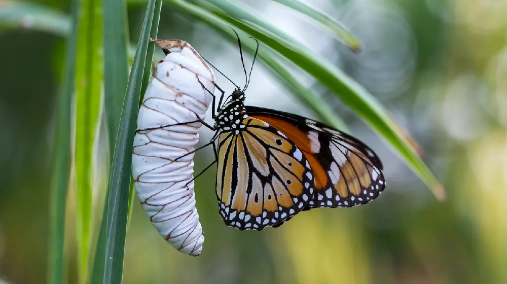 unsolicited help personal growth mindfulness wisdom life lessons 02yellowdaddy