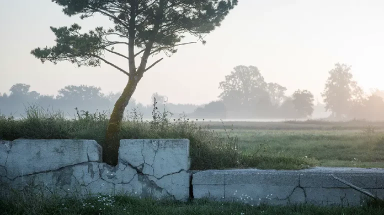 unsolicited help personal growth mindfulness wisdom life lessons 06yellowdaddy