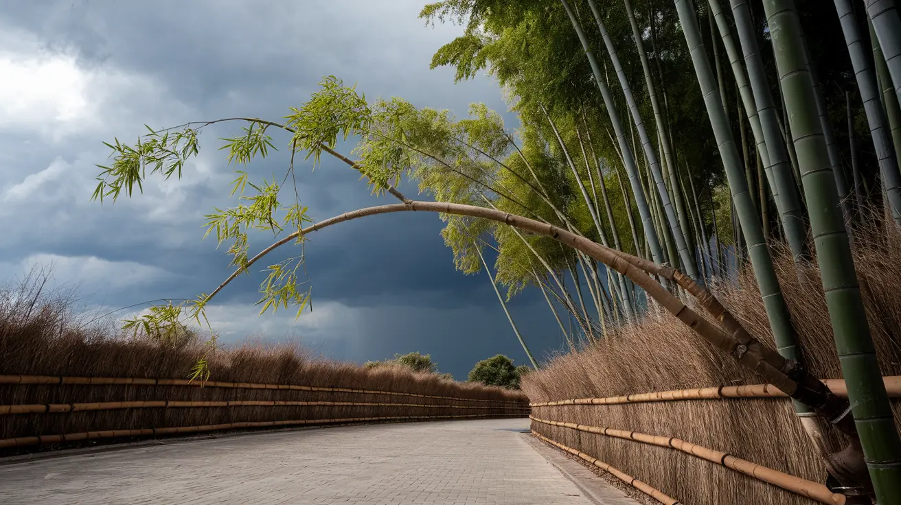 wisdom of life mindfulness and observation 04 yellowdaddy