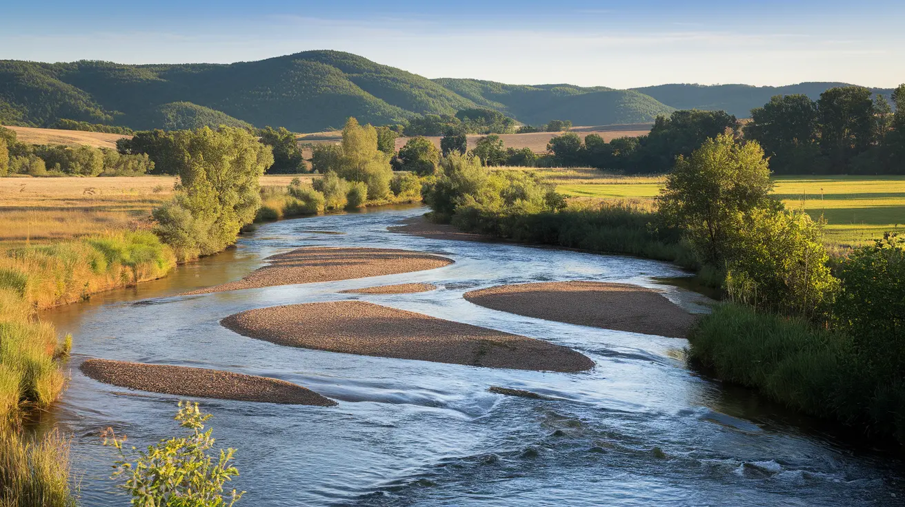 wisdom of life choices acceptance philosophy 05 yellowdaddy