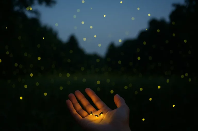 successful people change resistance winter coat effect 05 yellowdaddy