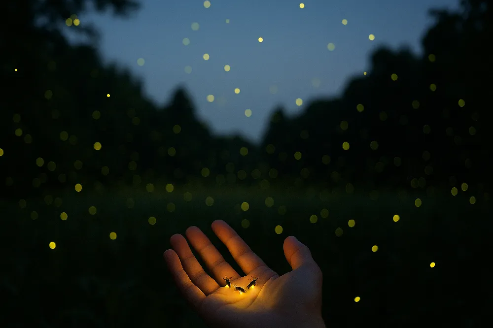 successful people change resistance winter coat effect 05 yellowdaddy