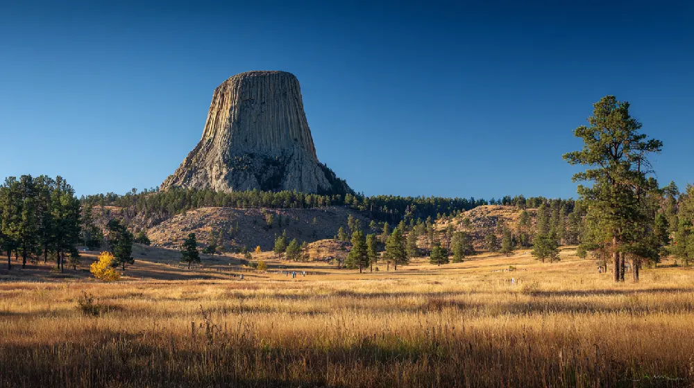 mother tree memory devils tower spiritual narrative 01 yellowdaddy