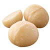 原味夏威夷豆圓潤豆仁與半球形切面的放大主視覺